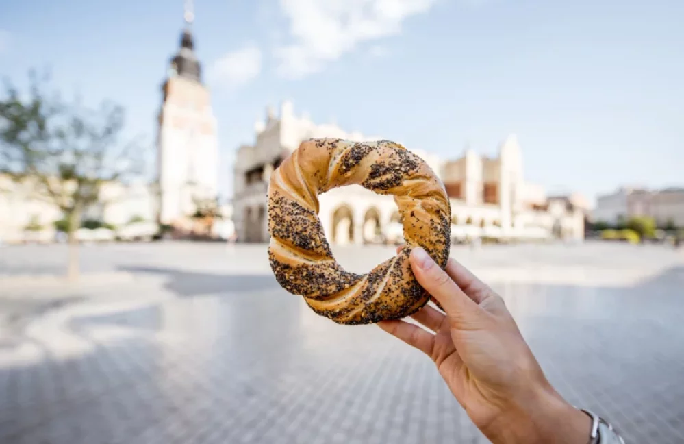 PRZEWODNIK zdjecie.webp