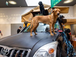 SPORT EXPO 5 (26).jpg