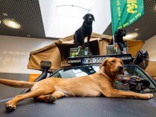 SPORT EXPO 5 (15).jpg