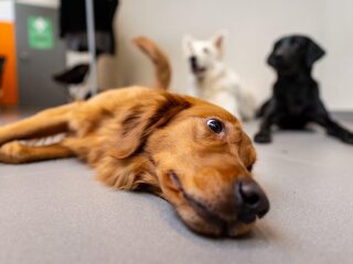 SPORT EXPO 2026 7 (1).jpg