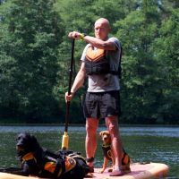 Projekt bez nazwy (8).png